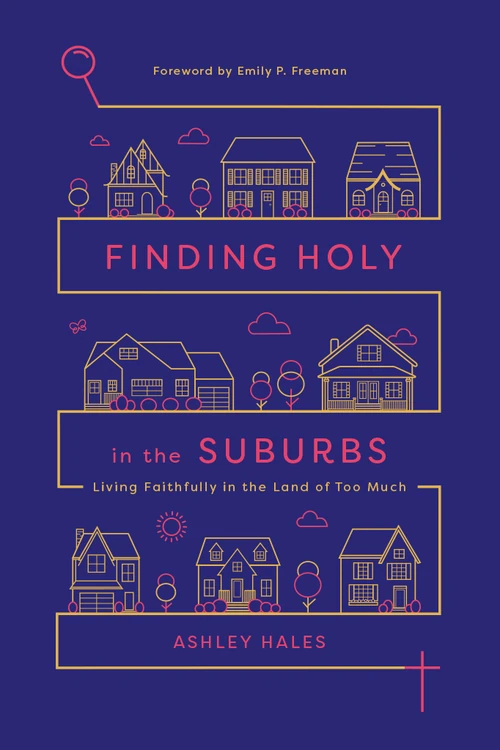 Cover of Finding Holy in the Suburbs