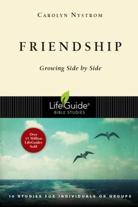Cover of Friendship