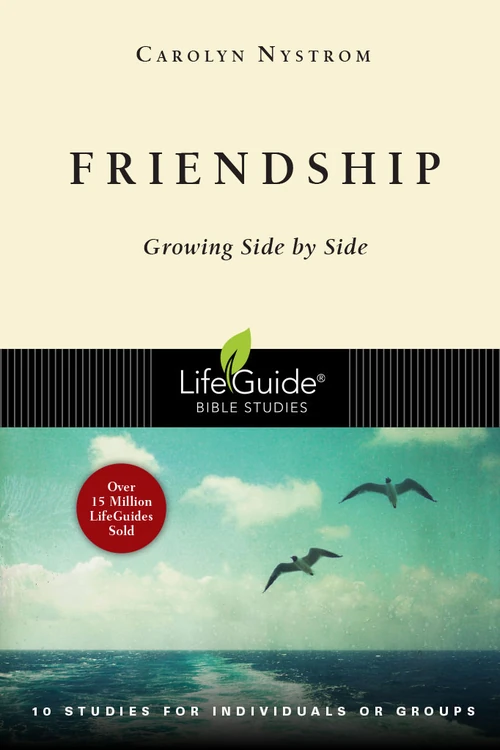 Cover of Friendship