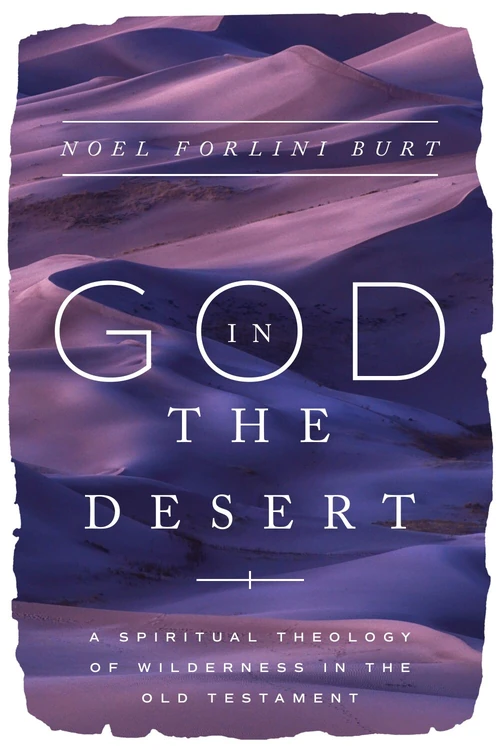 Cover of God in the Desert
