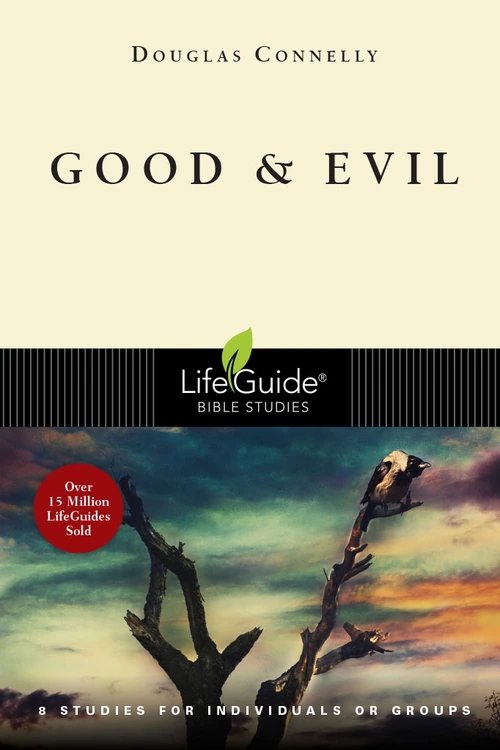 Cover of Good and Evil