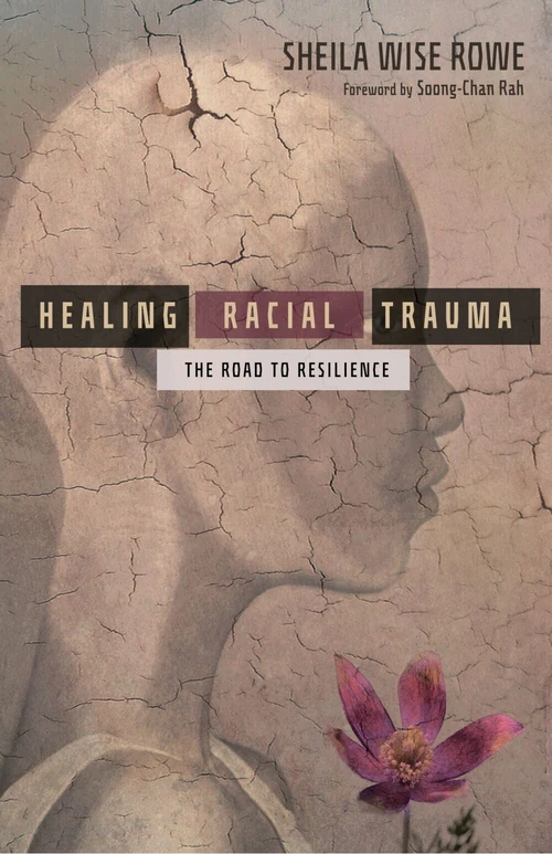 Cover of Healing Racial Trauma