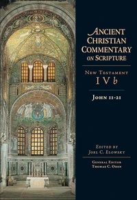 Cover of John 11-21