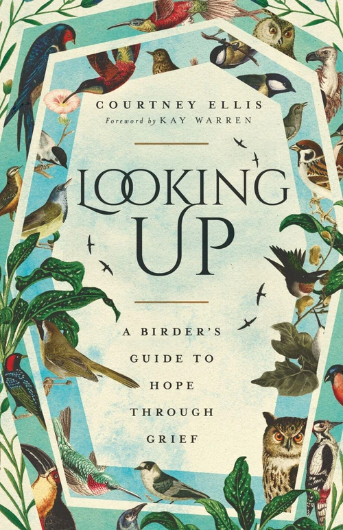Cover of Looking Up
