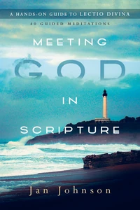Cover of Meeting God in Scripture