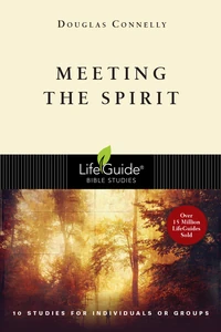 Cover of Meeting the Spirit