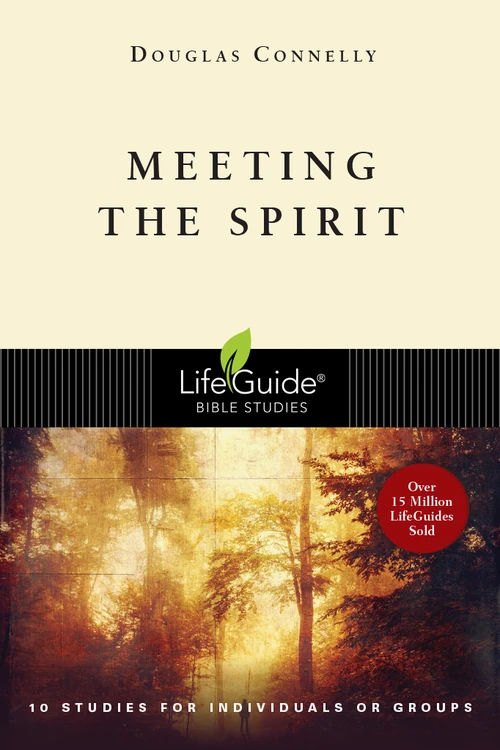 Cover of Meeting the Spirit