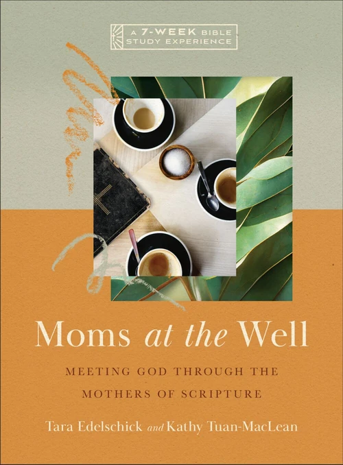 Cover of Moms at the Well
