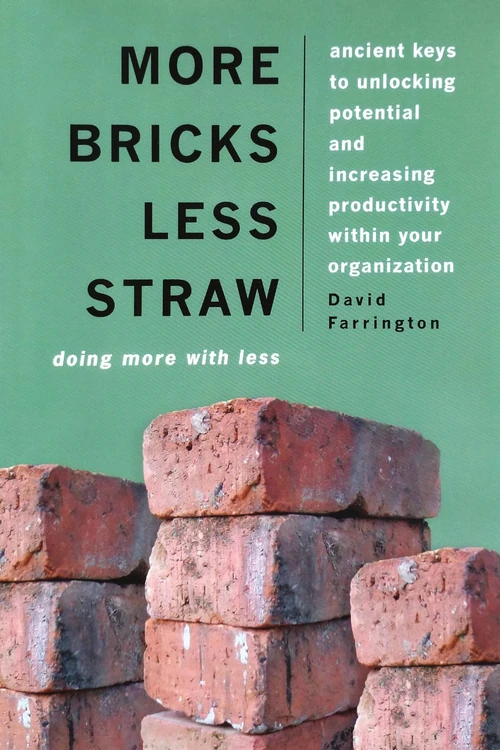 Cover of More Bricks Less Straw