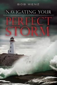 Cover of Navigating Your Perfect Storm