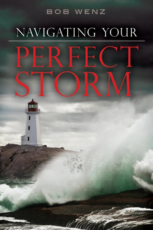 Cover of Navigating Your Perfect Storm