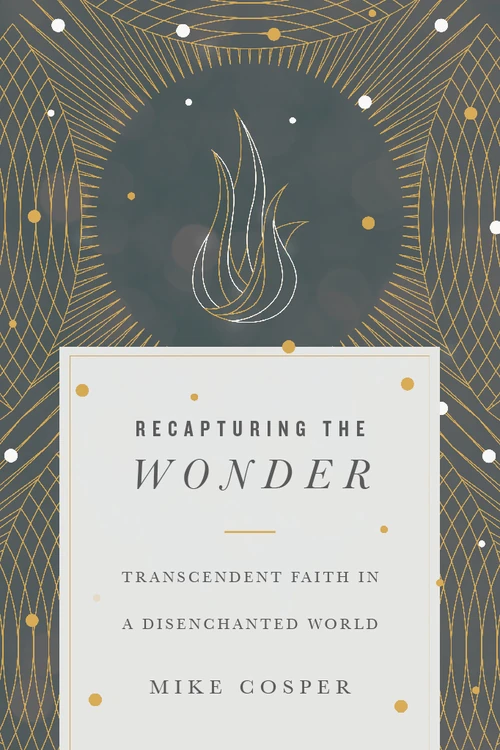 Cover of Recapturing the Wonder