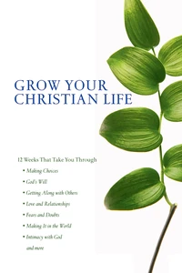 Cover of Scripture Twisting