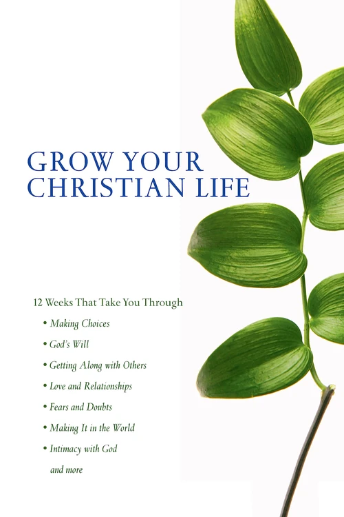 Cover of Scripture Twisting