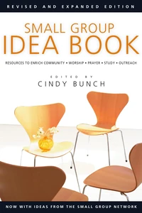 Cover of Small Group Idea Book