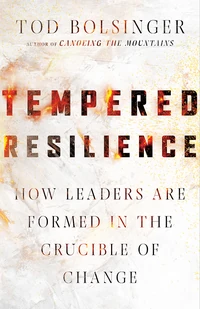 Cover of Tempered Resilience