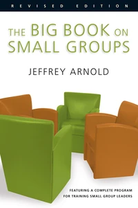 Cover of The Big Book on Small Groups