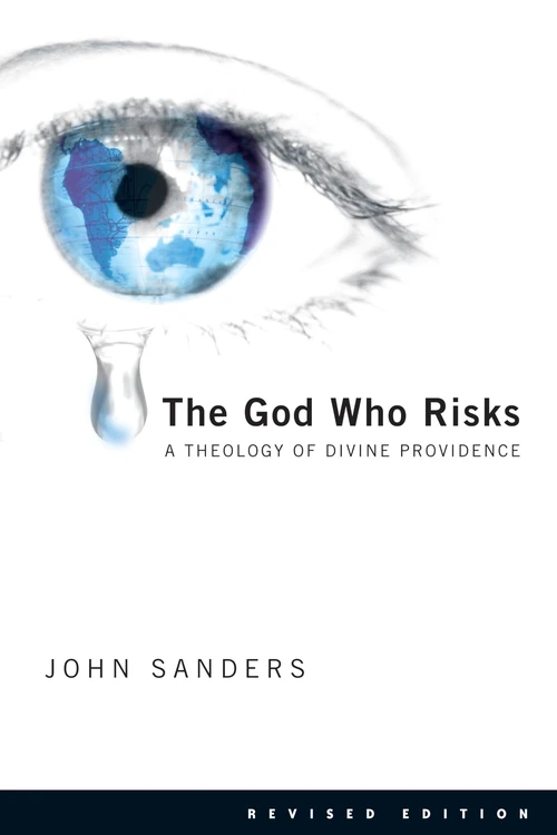 Cover of The God Who Risks