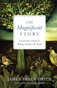 Cover of The Magnificent Story
