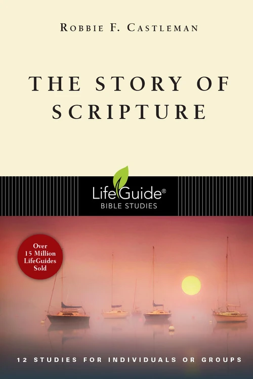 Cover of The Story of Scripture