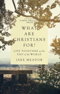 Cover of What Are Christians For?