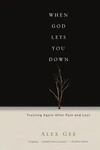 Cover of When God Lets You Down