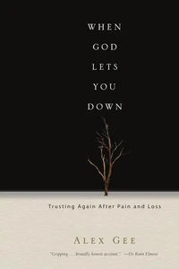 Cover of When God Lets You Down