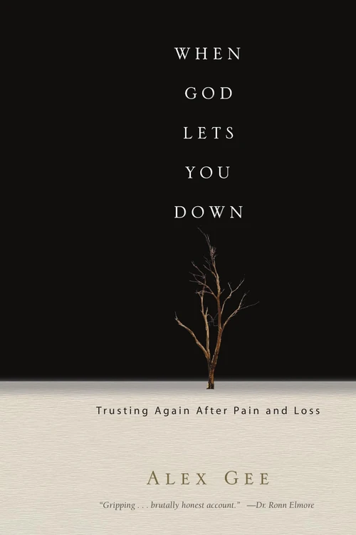 Cover of When God Lets You Down