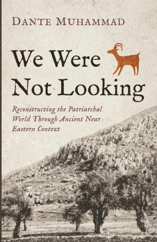 Cover of We Were Not Looking