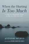 Cover of When the Hurting Is Too Much