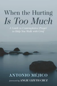 Cover of When the Hurting Is Too Much