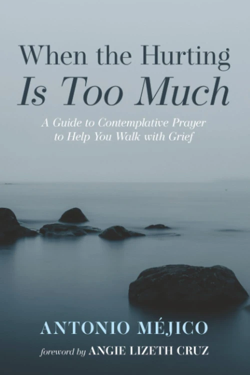 Cover of When the Hurting Is Too Much