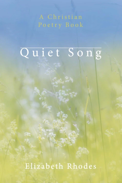Cover of Quiet Song
