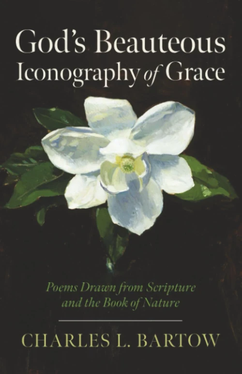 Cover of God’s Beauteous Iconography of Grace