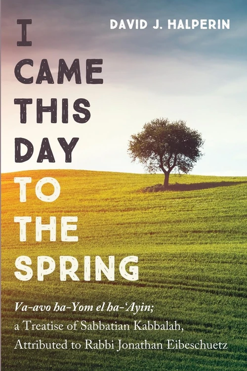 Cover of I Came This Day to the Spring