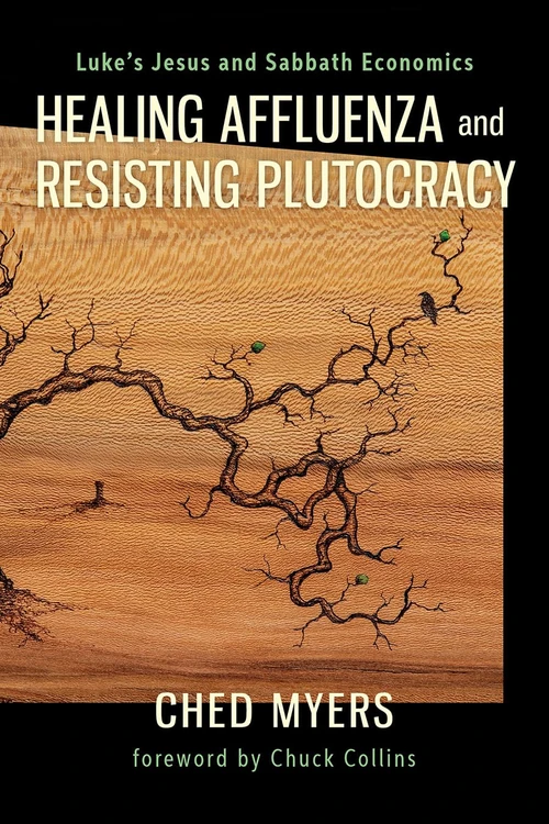 Cover of Healing Affluenza and Resisting Plutocracy