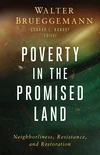 Cover of Poverty in the Promised Land