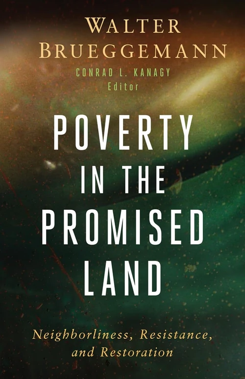 Cover of Poverty in the Promised Land