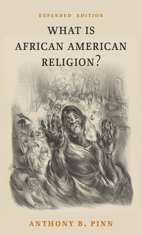 Cover of What Is African American Religion?