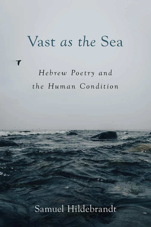 Cover of Vast as the Sea