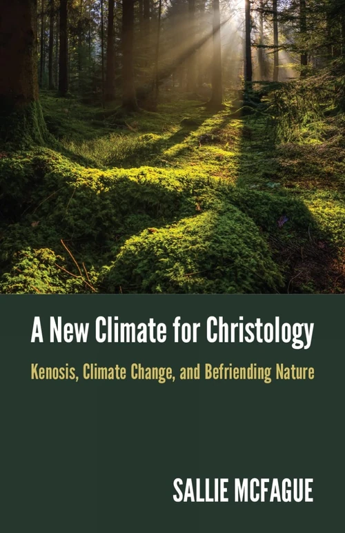 Cover of A New Climate for Christology