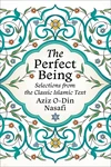 Cover of The Perfect Being