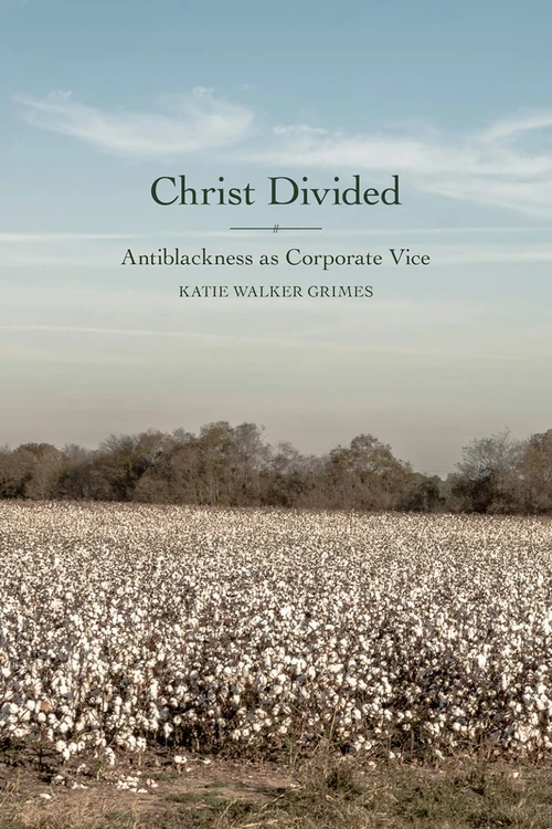 Cover of Christ Divided