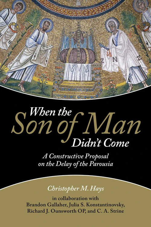 Cover of When the Son of Man Didn't Come