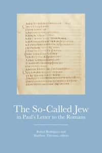 Cover of The So-Called Jew in Paul’s Letter to the Romans