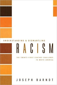Cover of Understanding and Dismantling Racism
