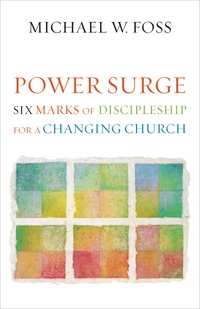 Cover of Power Surge