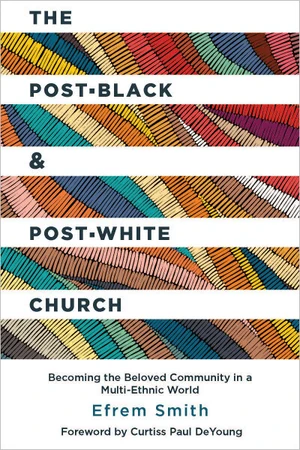 Cover of The Post-Black and Post-White Church