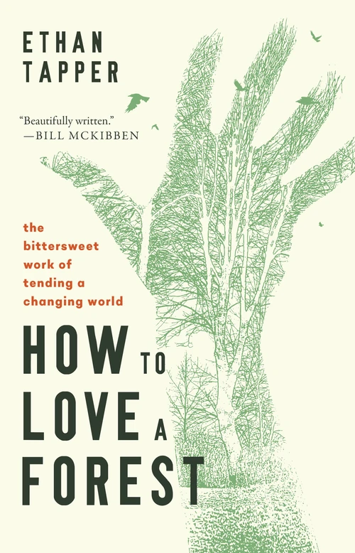 Cover of How to Love a Forest