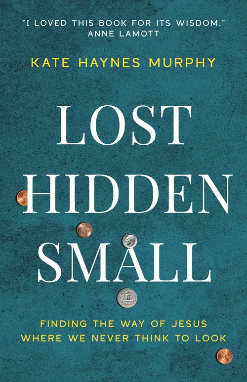 Cover of Lost, Hidden, Small